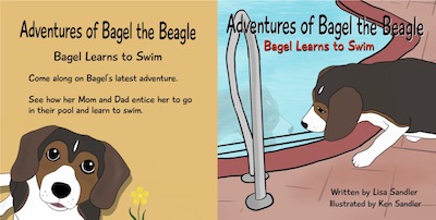 Click Here to Buy English Edition